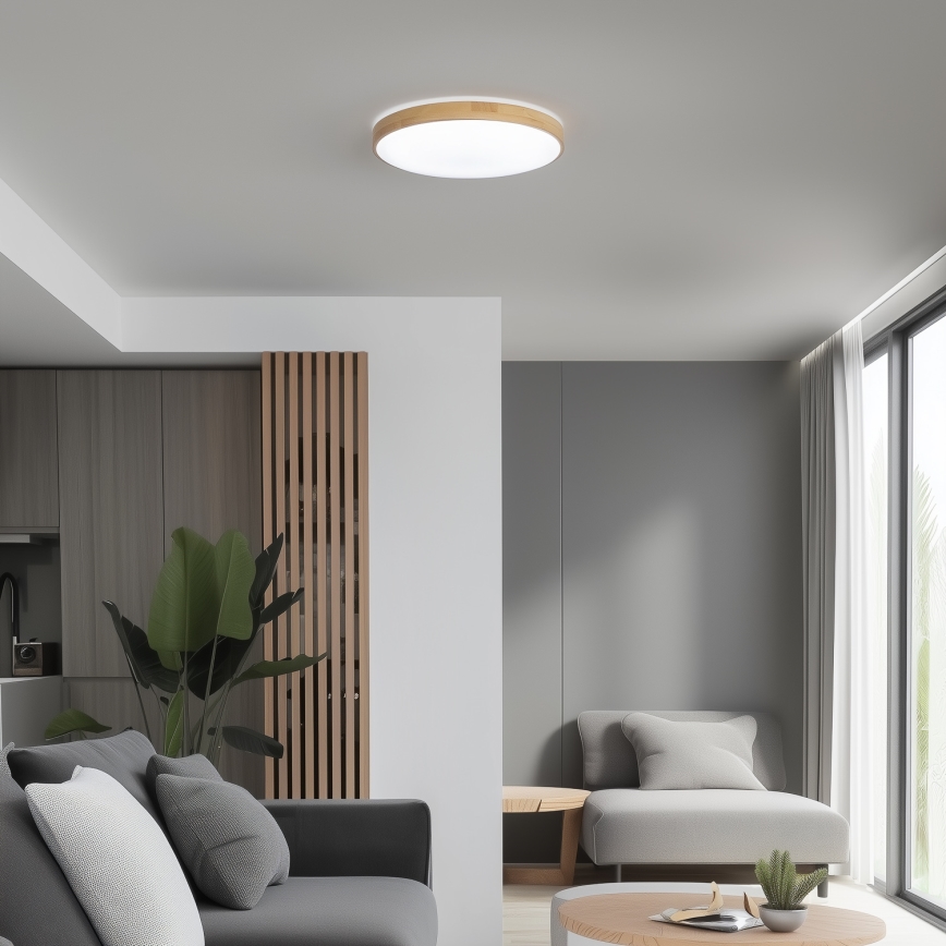 Brilagi - LED Himmennettävä kattovalo PINE LED/24W/230V 3000-6500K  + kauko-ohjain