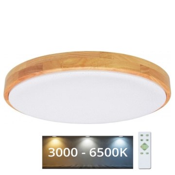 Brilagi - LED Himmennettävä kattovalo PINE LED/60W/230V 3000-6500K  + kauko-ohjain