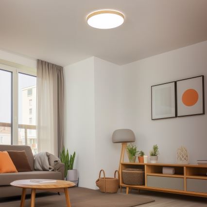 Brilagi - LED Himmennettävä kattovalo PINE LED/60W/230V 3000-6500K  + kauko-ohjain