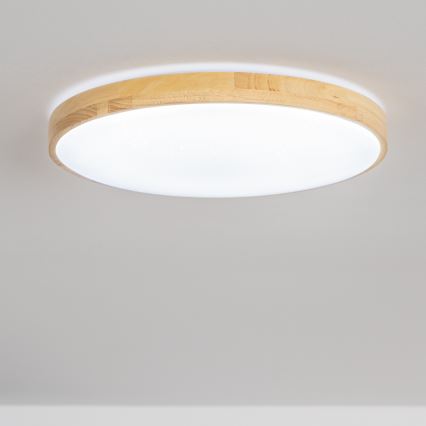 Brilagi - LED Himmennettävä kattovalo PINE LED/60W/230V 3000-6500K  + kauko-ohjain