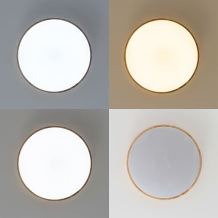 Brilagi - LED Himmennettävä kattovalo PINE LED/60W/230V 3000-6500K  + kauko-ohjain