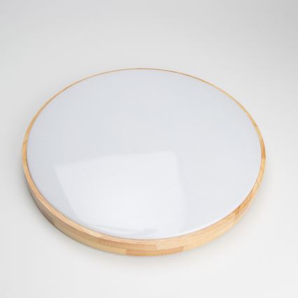 Brilagi - LED Himmennettävä kattovalo PINE LED/60W/230V 3000-6500K  + kauko-ohjain