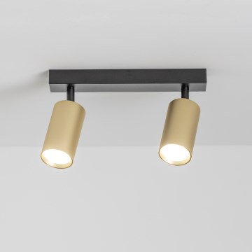 Brilagi - LED-himmennettävä kohdevalaisin SELE GOLDEN 2xGU10/6,5W/230V 2700-6500K musta/kultainen