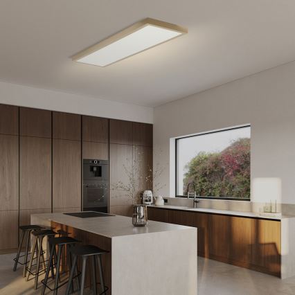 Brilagi - LED himmennettävä kylpyhuoneen kattovalaisin FRAME SMART LED/50W/230V 120x30 cm 3000-6000K IP44 beige + kaukosäädin