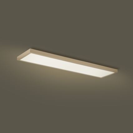 Brilagi - LED himmennettävä kylpyhuoneen kattovalaisin FRAME SMART LED/50W/230V 120x30 cm 3000-6000K IP44 beige + kaukosäädin