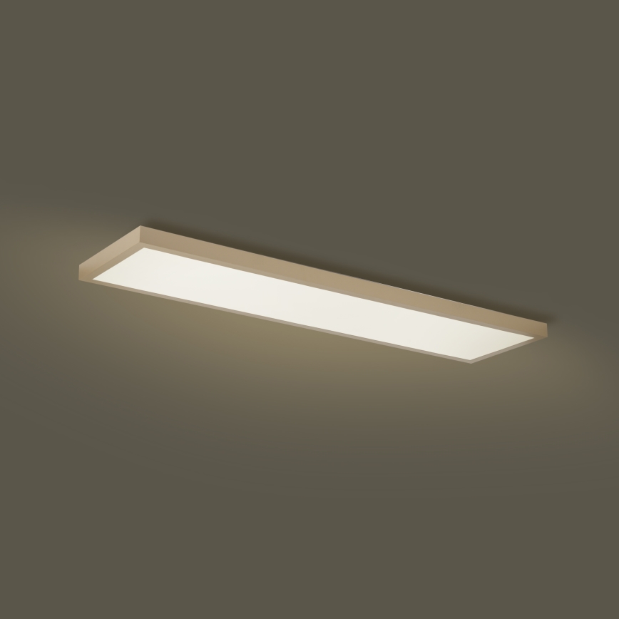 Brilagi - LED himmennettävä kylpyhuoneen kattovalaisin FRAME SMART LED/50W/230V 120x30 cm 3000-6000K IP44 beige + kaukosäädin