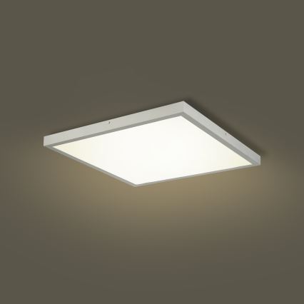 Brilagi - LED himmennettävä kylpyhuoneen kattovalaisin FRAME SMART LED/50W/230V 60x60 cm 3000-6000K IP44 hopeanvärinen + kaukosäädin
