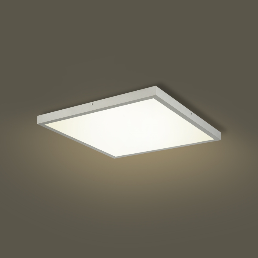 Brilagi - LED himmennettävä kylpyhuoneen kattovalaisin FRAME SMART LED/50W/230V 60x60 cm 3000-6000K IP44 hopeanvärinen + kaukosäädin