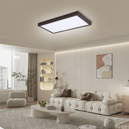 Brilagi - Himmennettävä kylpyhuoneen LED-kattovalaisin FRAME SMART LED/30W/230V 30x60 cm 3000-6000K  IP44 musta  + kauko-ohjaus
