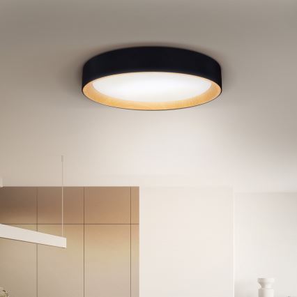 Brilagi - Himmennettävä LED-kattovalaisin LARIOS LED/60W/230V 3000-6500K ø 49 cm musta + kauko-ohjaus
