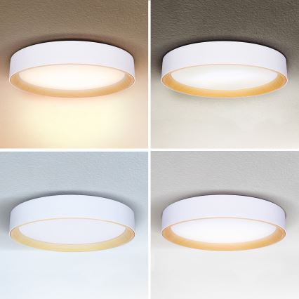 Brilagi - Himmennettävä LED-kattovalaisin LARIOS LED/60W/230V 3000-6500K ø 49 cm valkoinen + kauko-ohjaus