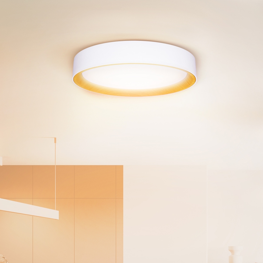 Brilagi - Himmennettävä LED-kattovalaisin LARIOS LED/60W/230V 3000-6500K ø 49 cm valkoinen + kauko-ohjaus