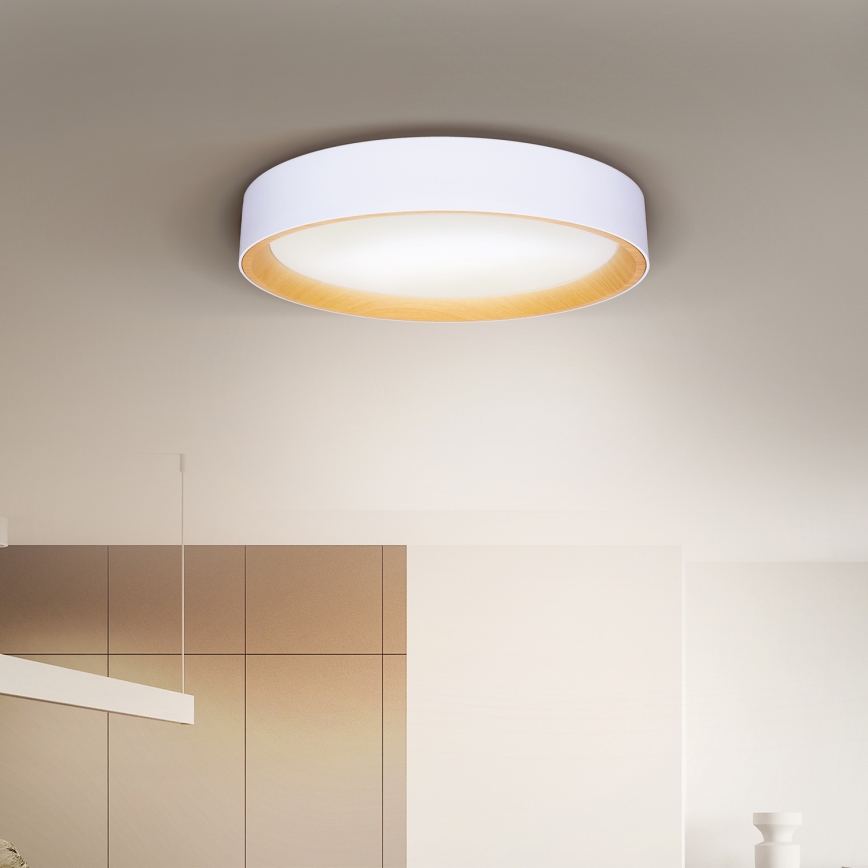 Brilagi - Himmennettävä LED-kattovalaisin LARIOS LED/60W/230V 3000-6500K ø 49 cm valkoinen + kauko-ohjaus