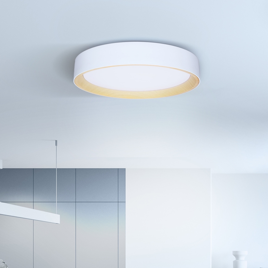 Brilagi - Himmennettävä LED-kattovalaisin LARIOS LED/60W/230V 3000-6500K ø 49 cm valkoinen + kauko-ohjaus