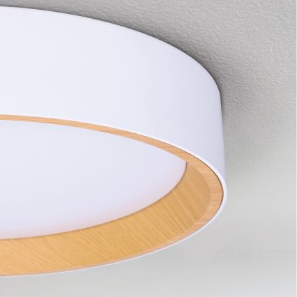 Brilagi - Himmennettävä LED-kattovalaisin LARIOS LED/60W/230V 3000-6500K ø 49 cm valkoinen + kauko-ohjaus