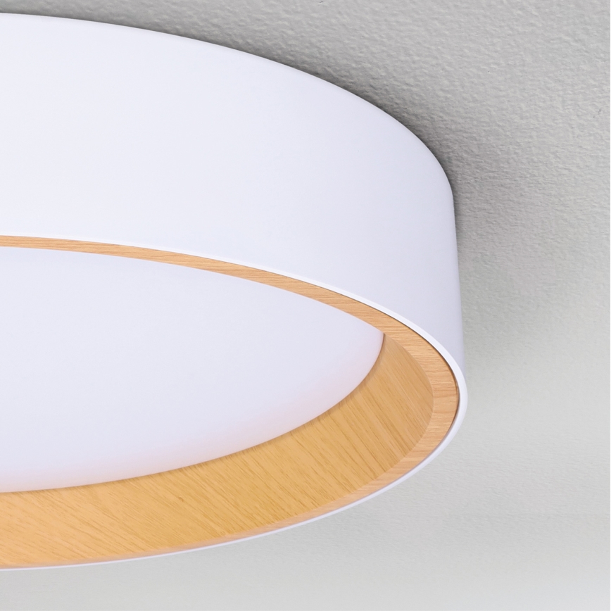 Brilagi - Himmennettävä LED-kattovalaisin LARIOS LED/60W/230V 3000-6500K ø 49 cm valkoinen + kauko-ohjaus