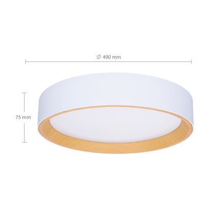 Brilagi - Himmennettävä LED-kattovalaisin LARIOS LED/60W/230V 3000-6500K ø 49 cm valkoinen + kauko-ohjaus