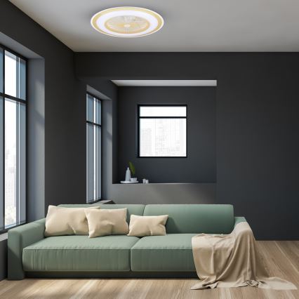 Brilagi - LED Himmennettävä valo tuulettimella RONDA LED/48W/230V 3000-6000K kulta + kaukosäädin