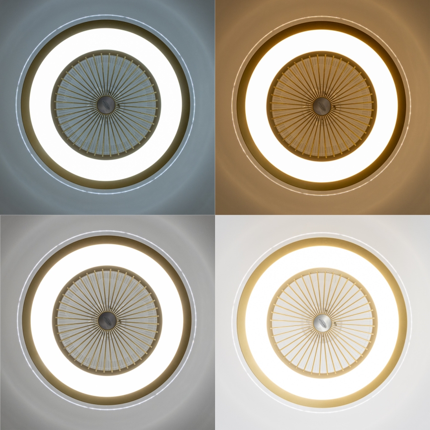 Brilagi - LED Himmennettävä valo tuulettimella RONDA LED/48W/230V 3000-6000K kulta + kaukosäädin