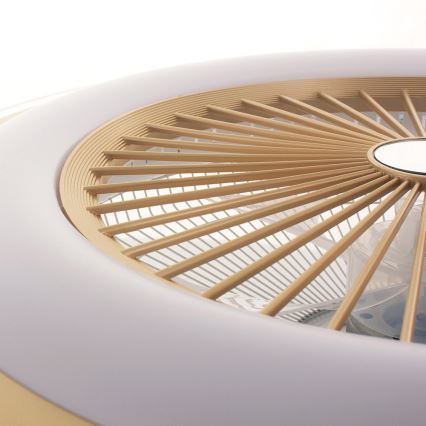 Brilagi - LED Himmennettävä valo tuulettimella RONDA LED/48W/230V 3000-6000K kulta + kaukosäädin