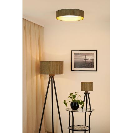 Brilagi - Himmennettävä LED-kattovalaisin VEGAS SHINE LED/24W/230V 3000/4000/6500K olki ruskea/kulta + kauko-ohjaus