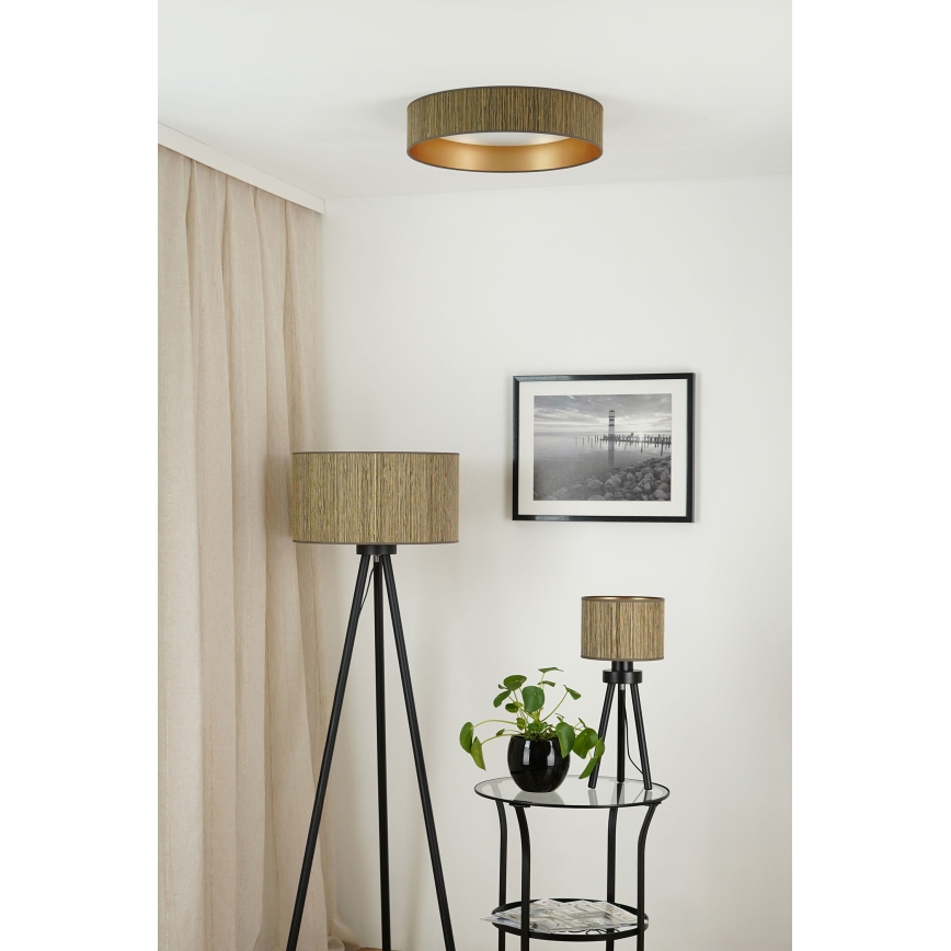 Brilagi - Himmennettävä LED-kattovalaisin VEGAS SHINE LED/24W/230V 3000/4000/6500K olki ruskea/kulta + kauko-ohjaus