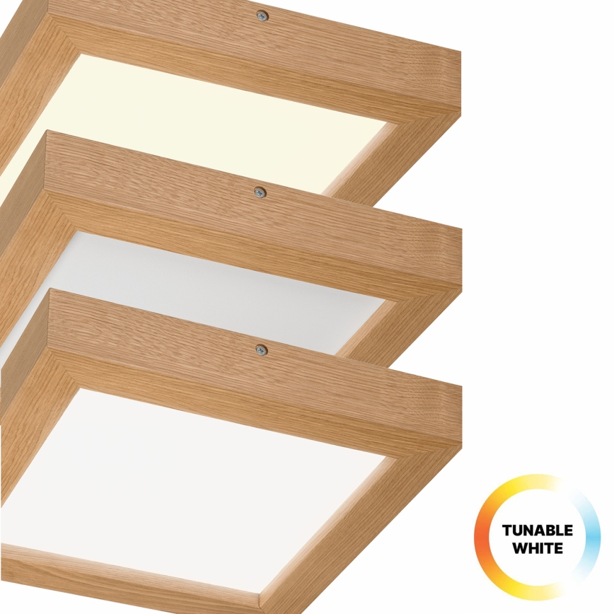 Brilagi - Himmennettävä kylpyhuoneen LED-kattovalaisin WOODY FRAME LED/24W/230V tammi 30x30 cm 3000-6000K IP44 + kauko-ohjaus