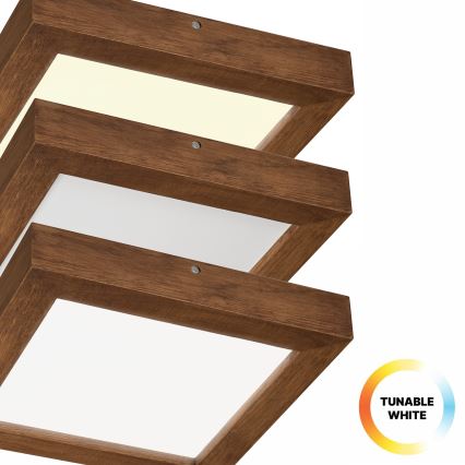 Brilagi - Himmennettävä kylpyhuoneen LED-kattovalaisin WOODY FRAME LED/24W/230V tammi kirsikka 30x30 cm 3000-6000K IP44 + kauko-ohjaus