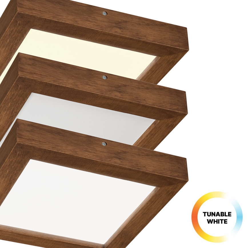Brilagi - Himmennettävä kylpyhuoneen LED-kattovalaisin WOODY FRAME LED/24W/230V tammi kirsikka 30x30 cm 3000-6000K IP44 + kauko-ohjaus