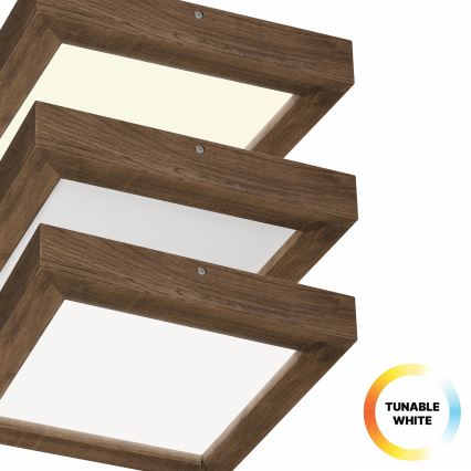 Brilagi - Himmennettävä kylpyhuoneen LED-kattovalaisin WOODY FRAME LED/24W/230V tammi 30x30 cm 3000-6000K IP44 + kauko-ohjaus