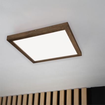 Brilagi - Himmennettävä kylpyhuoneen LED-kattovalaisin WOODY FRAME LED/50W/230V tammi 60x60 cm 3000-6000K IP44 + kauko-ohjaus