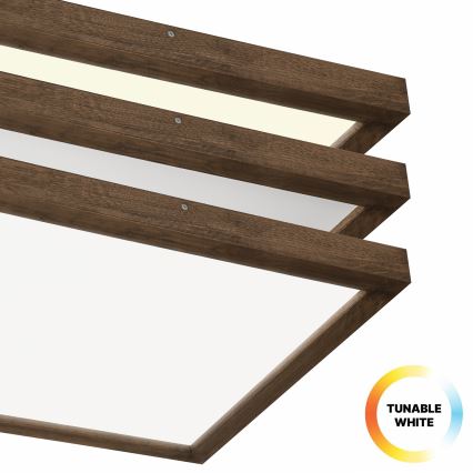 Brilagi - Himmennettävä kylpyhuoneen LED-kattovalaisin WOODY FRAME LED/50W/230V tammi 60x60 cm 3000-6000K IP44 + kauko-ohjaus