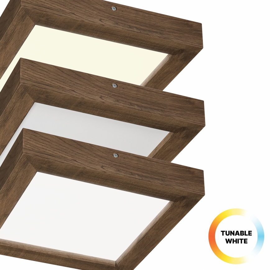Brilagi - LED himmennettävä kylpyhuoneen kattovalaisin WOODY FRAME LED/24W/230V tammi-pähkinä 30x30 cm 3000-6000K IP44 + kaukosäädin