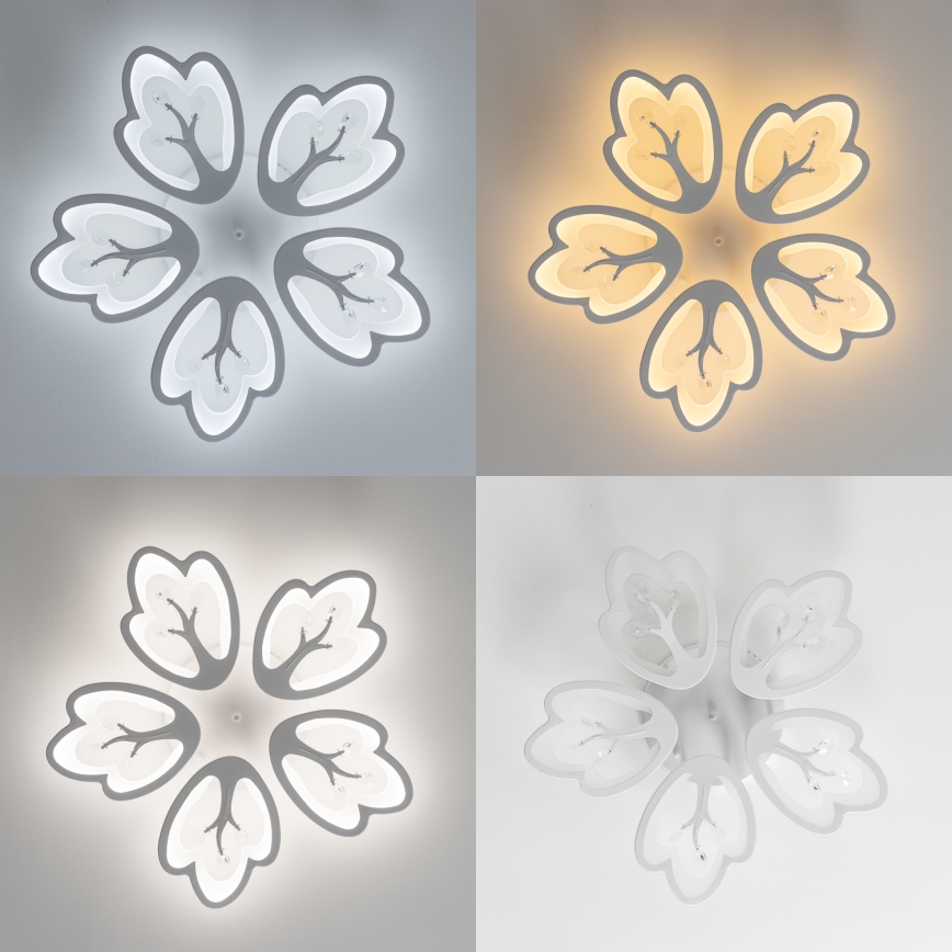 Brilagi - LED-himmennyskattokruunu TWIST LED/80W/230V 3000-6500K valkoinen + kauko-ohjaus