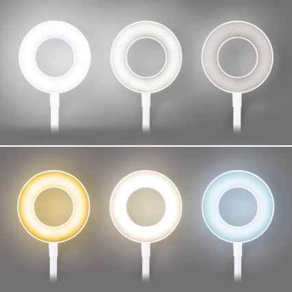 Brilagi - LED-himmennyslamppu pidikkeellä ORBELA LED/8W/230V 3000/4000/5000K valkoinen