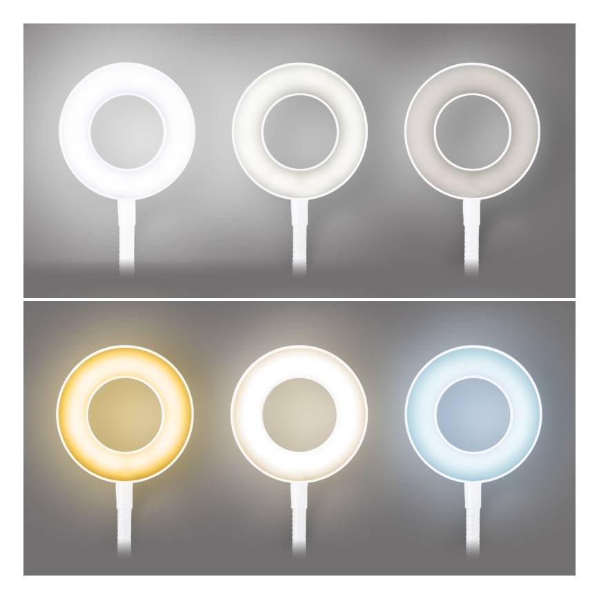 Brilagi - LED-himmennyslamppu pidikkeellä ORBELA LED/8W/230V 3000/4000/5000K valkoinen