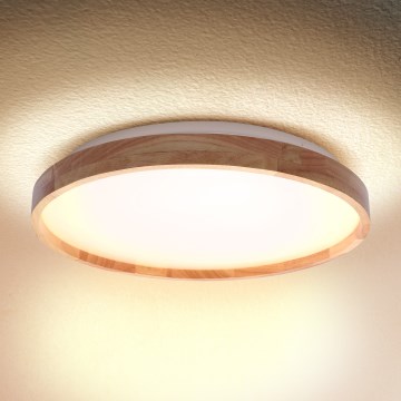 Brilagi - LED-kattovalaisin ALSON LED/24W/230V tammi