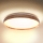 Brilagi - LED-kattovalaisin ALSON LED/24W/230V tammi