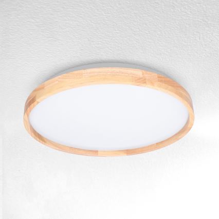 Brilagi - LED-kattovalaisin ALSON LED/24W/230V tammi