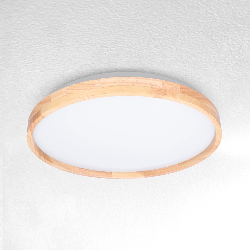 Brilagi - LED-kattovalaisin ALSON LED/24W/230V tammi