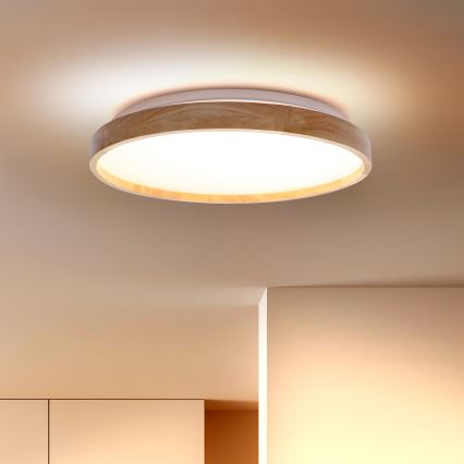 Brilagi - LED-kattovalaisin ALSON LED/24W/230V tammi