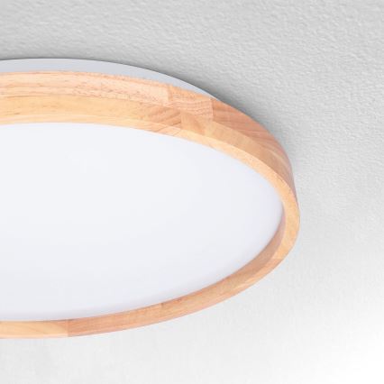 Brilagi - LED-kattovalaisin ALSON LED/24W/230V tammi