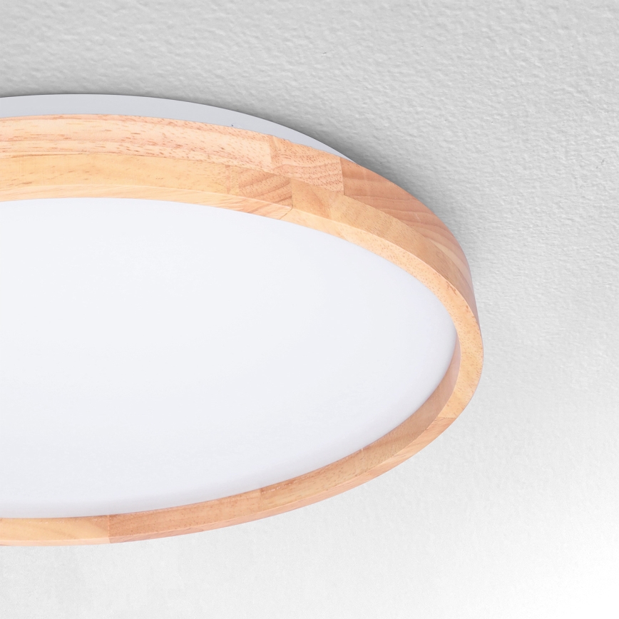 Brilagi - LED-kattovalaisin ALSON LED/24W/230V tammi