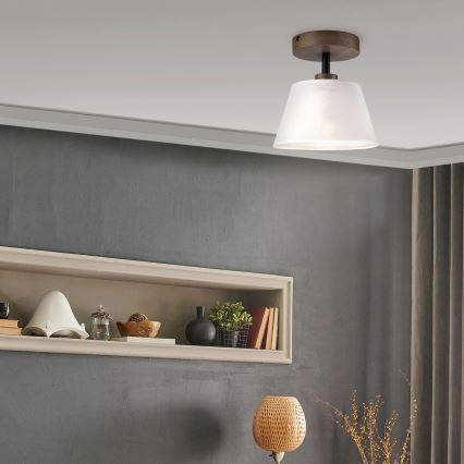 Brilagi - LED Pinta kattovalaisin ANTHONY 1xE14/60W/230V tammi-pähkinä/valkoinen