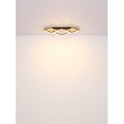 Brilagi - LED-kattovalaisin AXIS I LED/24W/230V