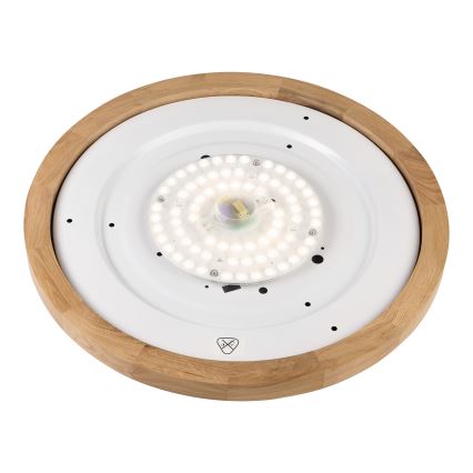 Brilagi - LED-kattovalaisin BELLADONNA LED/36W/230V halkaisija 50 cm valkoinen/tammi