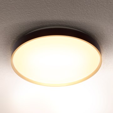 Brilagi - LED-kattovalaisin CALA LED/24W/230V