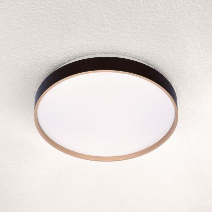 Brilagi - LED-kattovalaisin CALA LED/24W/230V