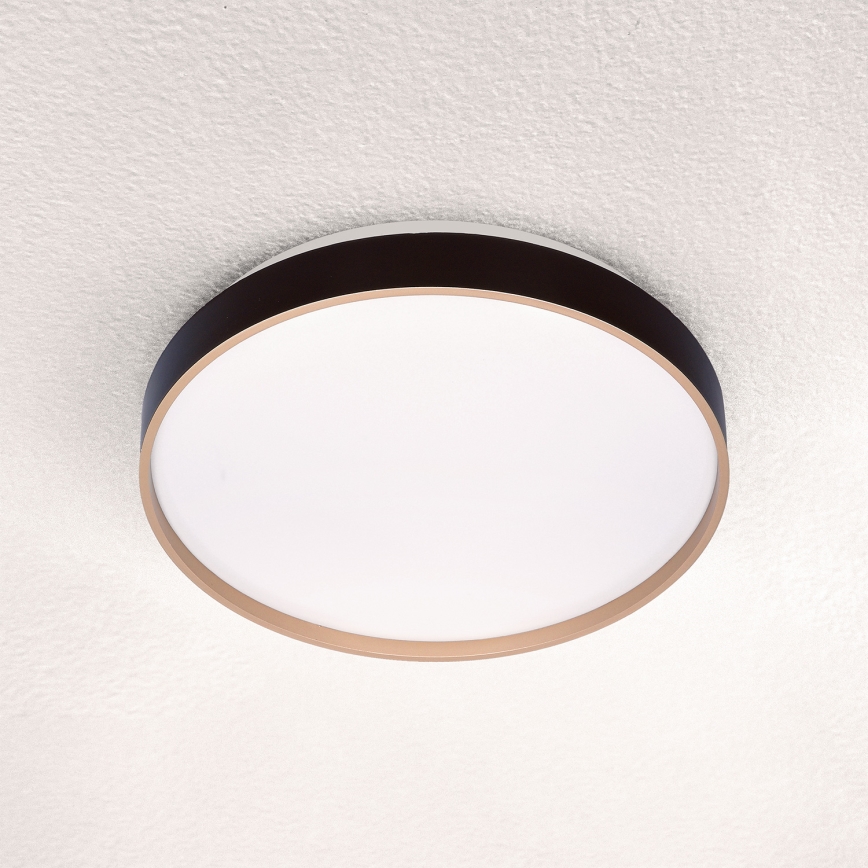 Brilagi - LED-kattovalaisin CALA LED/24W/230V