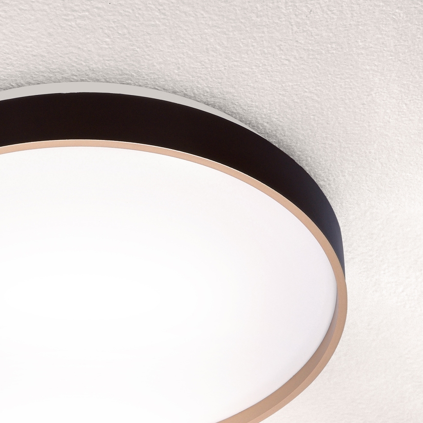 Brilagi - LED-kattovalaisin CALA LED/24W/230V